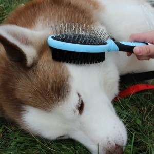 articles_by_registered_veterinarians_1.jpg